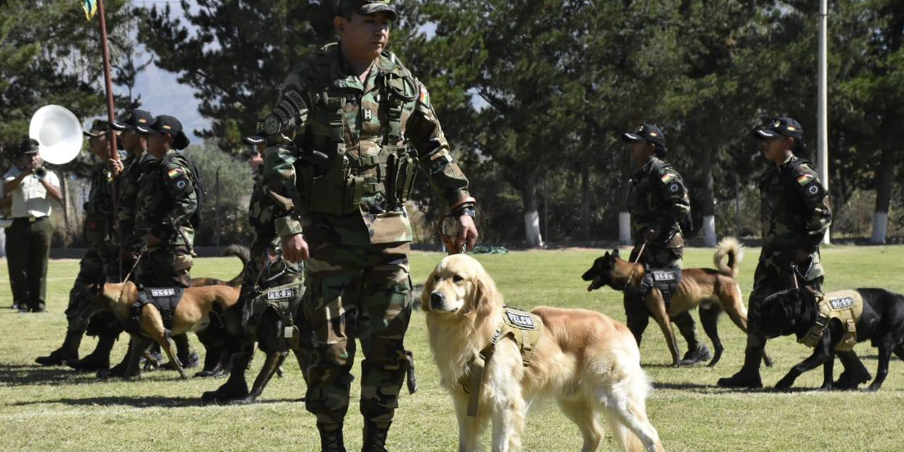 Foto: Viceministro de Defensa Social y Sustancias Controladas