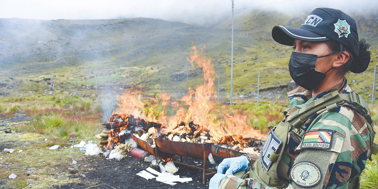 La droga incautada es incinerada por efectivos de la FELCN. Foto: VDS-SC