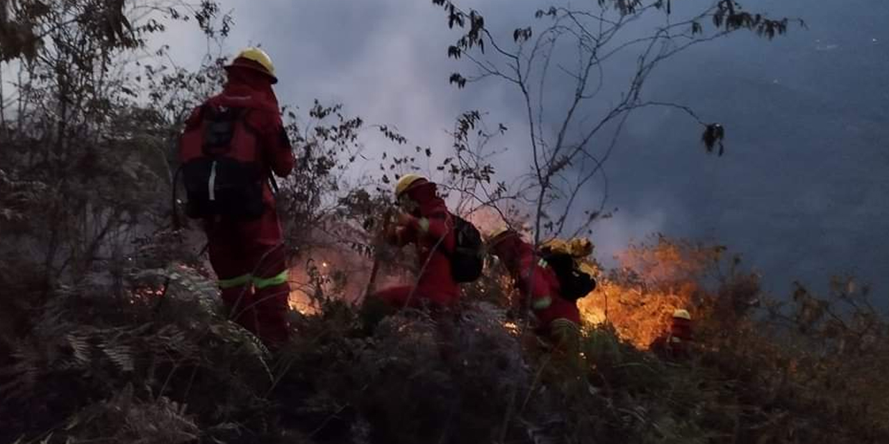 Imagen de referencia Foto: Ministerio de Defensa