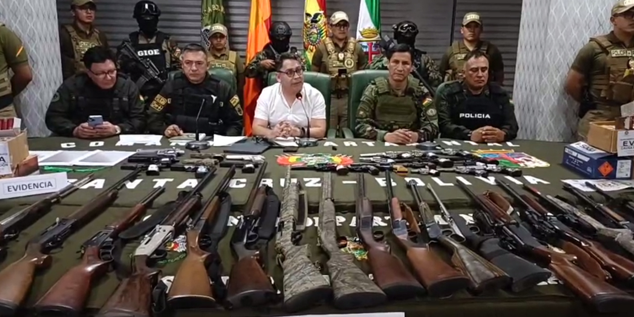 Las armas encontradas en un domicilio particular.