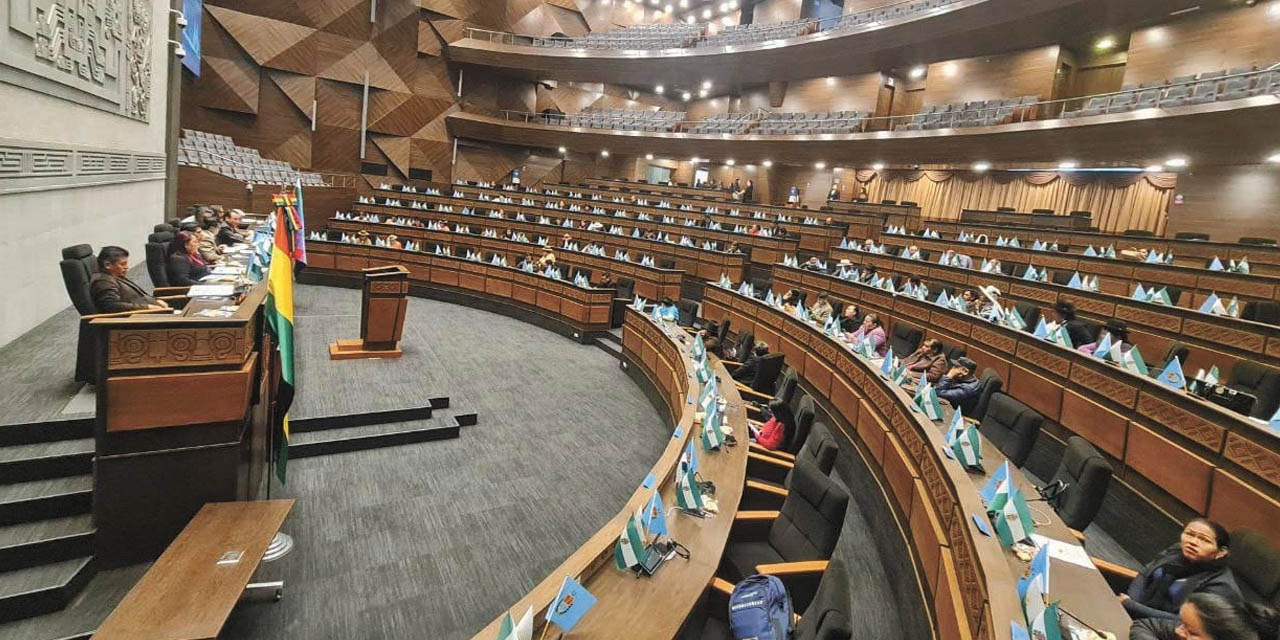 El pleno de la Cámara de Diputados de la Asamblea Legislativa Plurinacional. | FOTO:  Diputados Bolivia