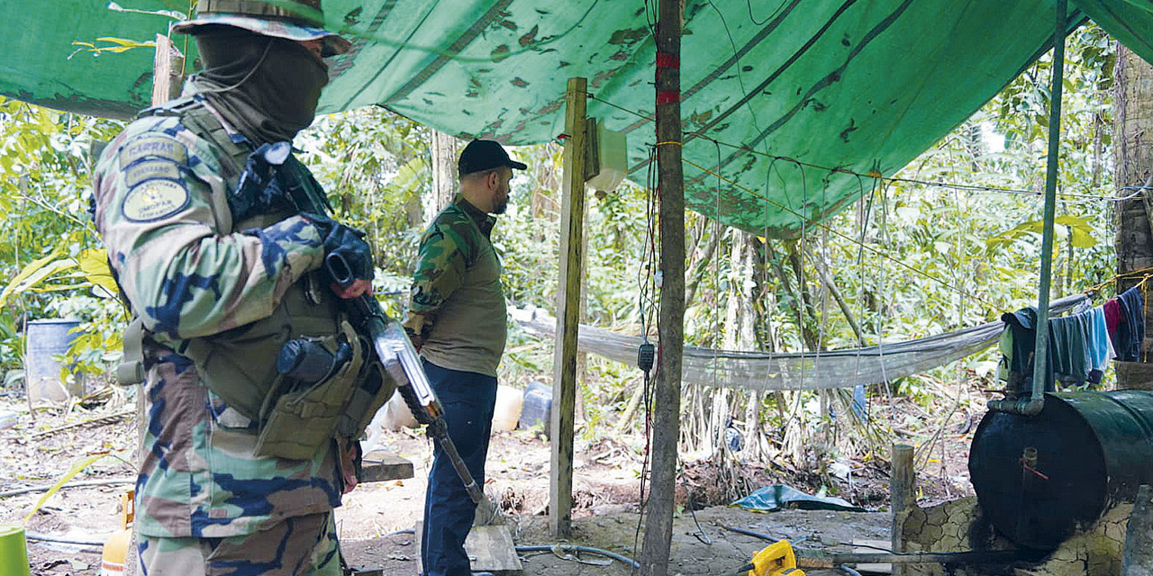 Último operativo antidroga en el trópico de Cochabamba.