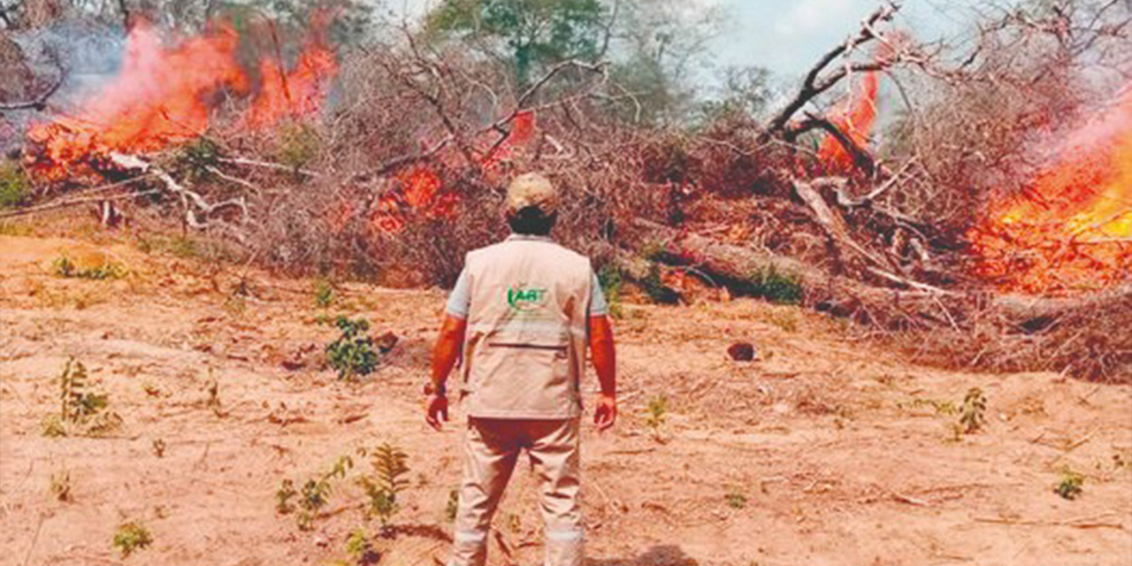 En Santa Cruz solo se registra un incendio en San Ignacio de Velasco. Foto: ABT