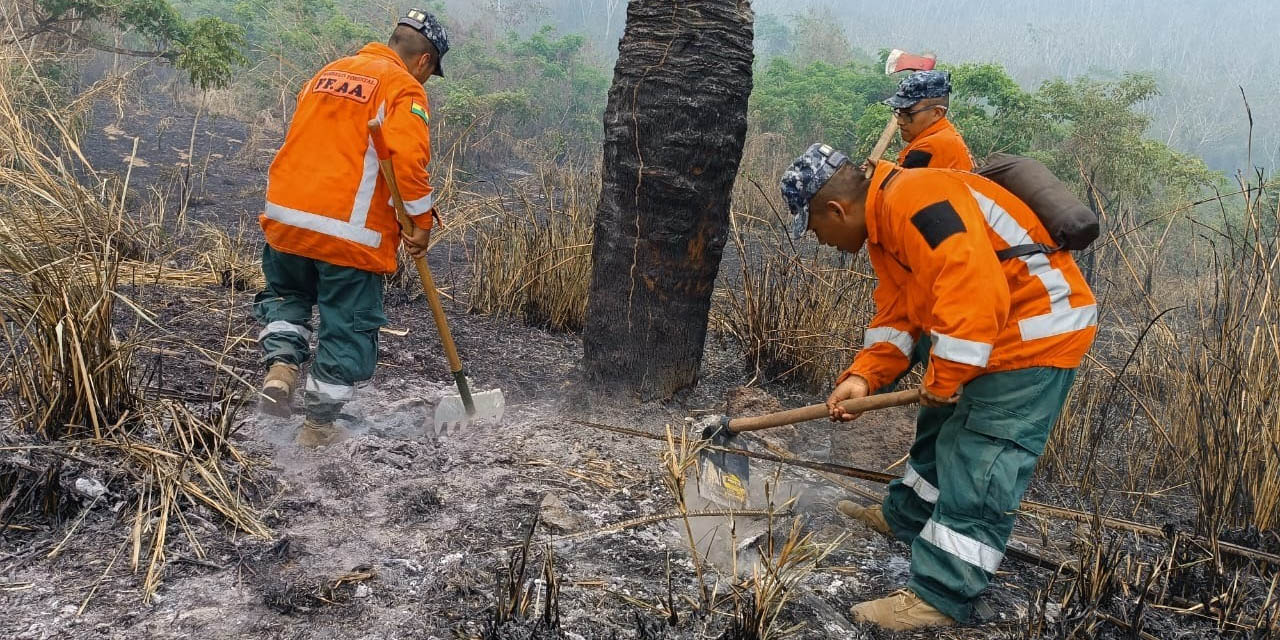 Efectivos de brigadas militares tras sofocar un incendio.  | Foto: Luis Arce/X