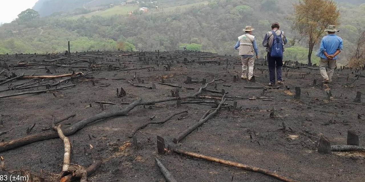 Verificación de las condiciones de un terreno arrasado por    un incendio. | Foto: ABT