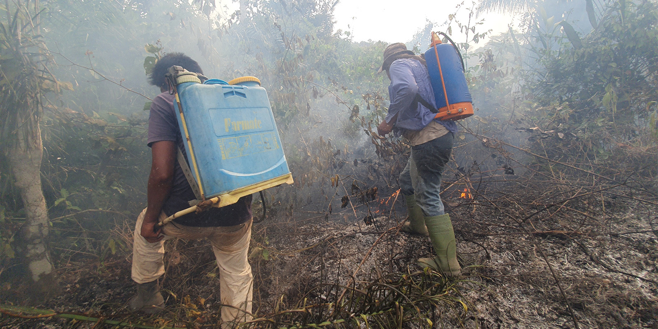 Pobladores en plena labor de sofocación del fuego en Palos Blancos, al norte del departamento de La Paz