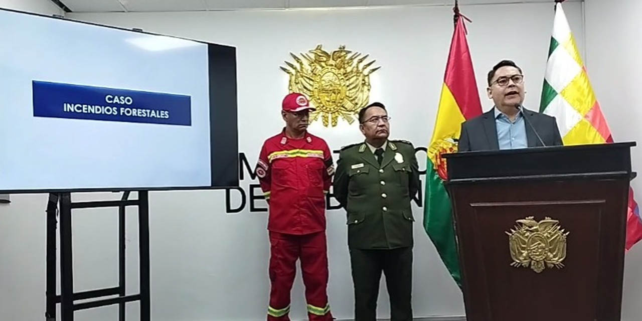 Viceministro de Régimen Interior y Policía, Jhonny Aguilera, informe incendios. Captura de imagen