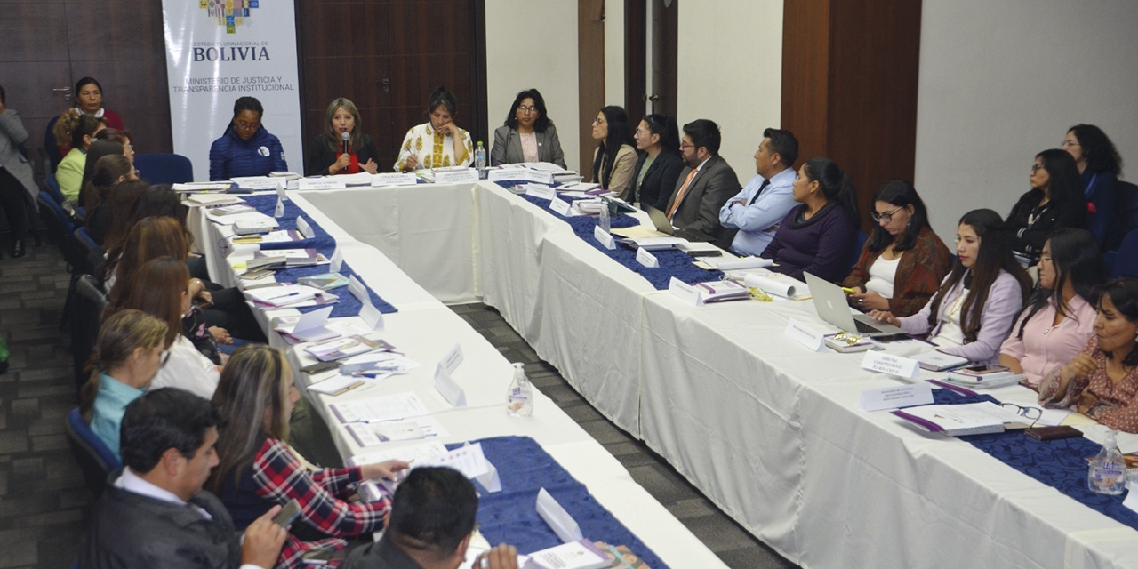 Integrantes del consejo sectorial e intersectorial en la primera sesión. | Foto: VIO