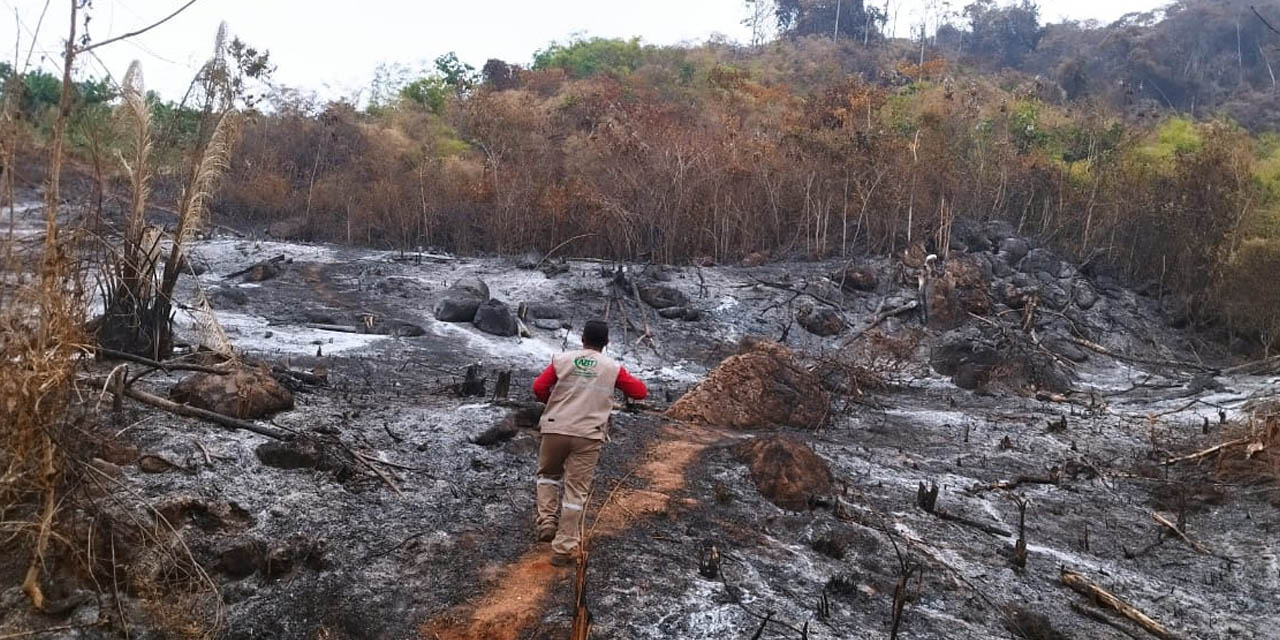 Un funcionario de la ABT inspecciona un terreno tras ser apagado el incendio. | Foto: ABT