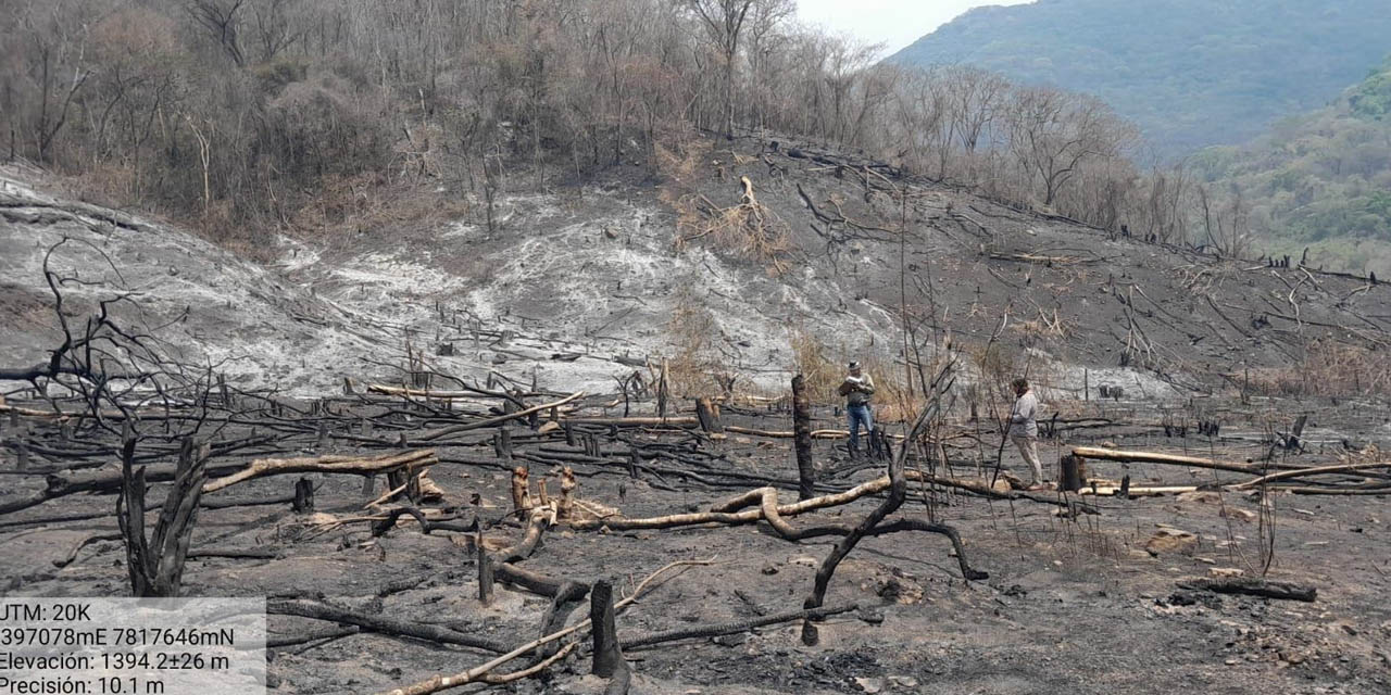 Superficie arrasada por los incendios en Santa Cruz. | Foto: ABT