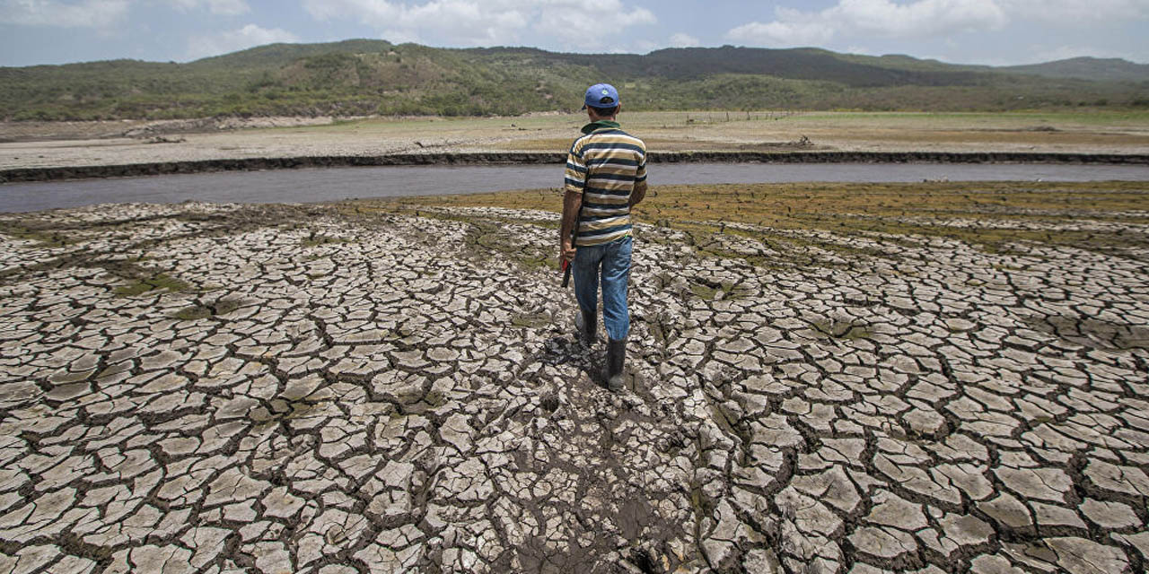 La sequía afecta a siete de los nueve departamentos del país. | Foto: RRSS