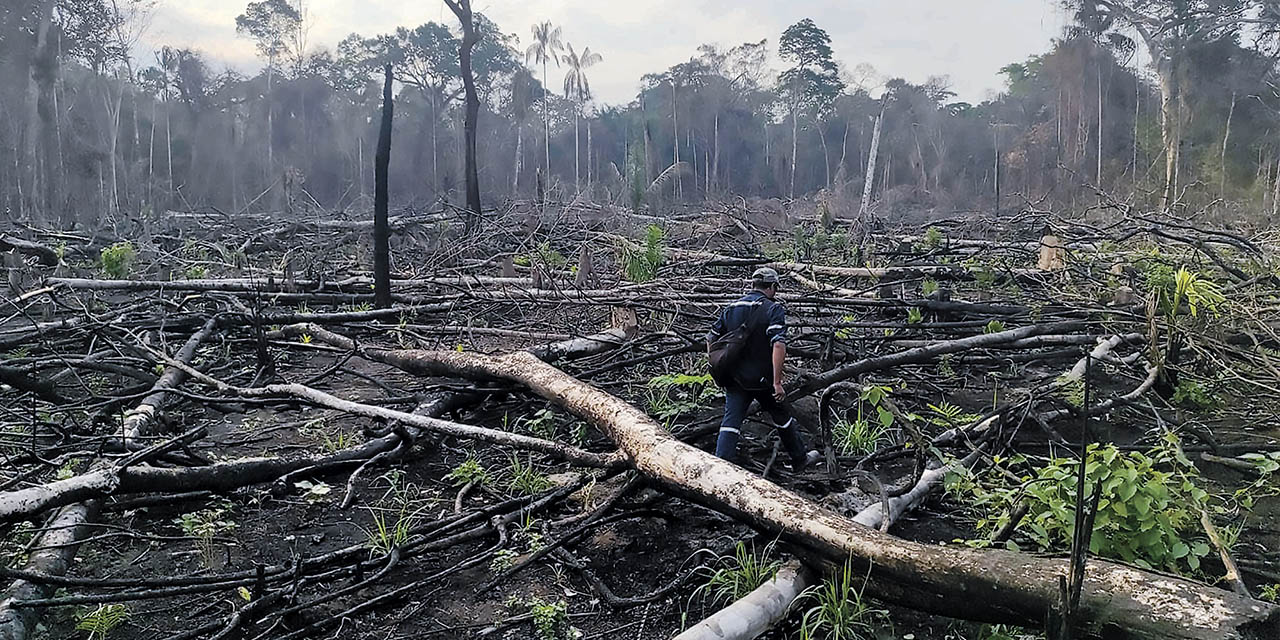 Los incendios en Santa Cruz arrasaron varias hectáreas de terreno. | Foto: ABT