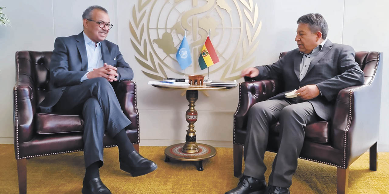 El vicepresidente David Choquehuanca, con el director general de la OMS, Tedros Adhanom. | Foto: Vicepresidencia del Estado