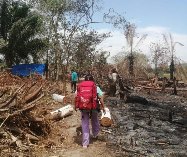 IncendChimán42161123