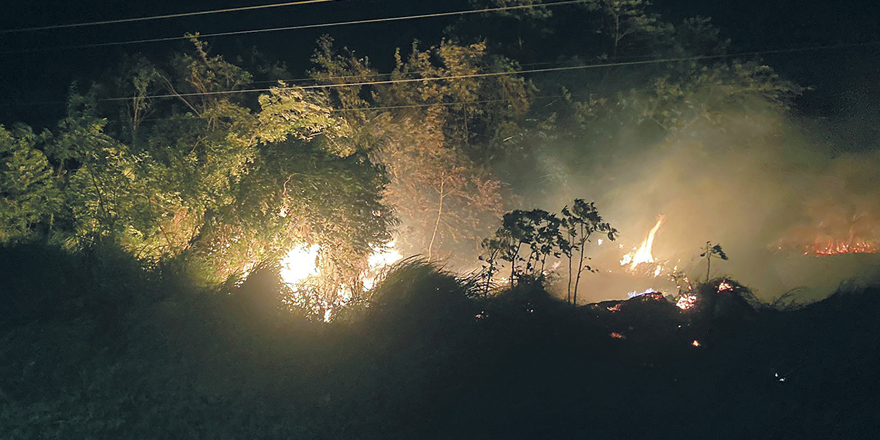 El fuego se reactivó en la chiquitania mayormente; en La Paz, en el municipio de Palos Blancos, en los Yungas. | Foto: ABT