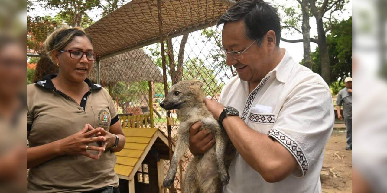 El Jefe de Estado acaricia a un zorro bebé.  | Foto: Comunicación Presidencial