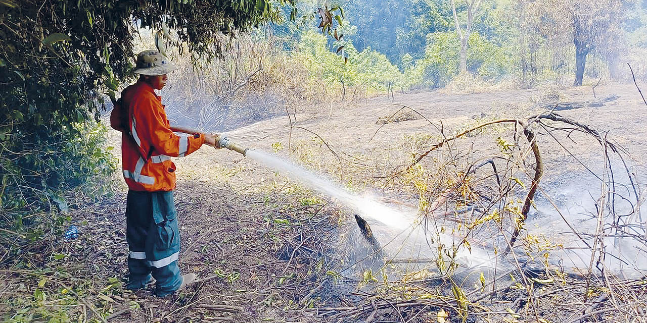 Un bombero forestal en tareas de mitigación. | Foto: Ministerio de Gobierno