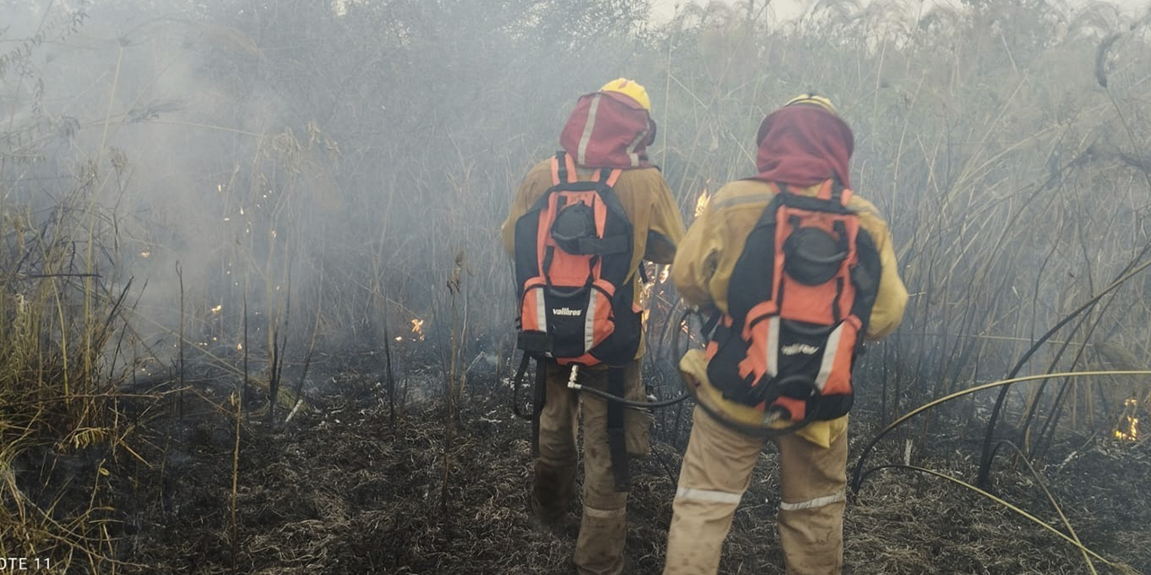 Bomberos forestales en plena faena de sofocamiento de un siniestro.