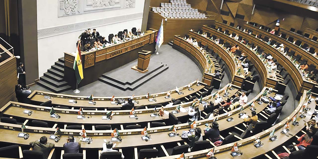 Vista del pleno de la Asamblea Legislativa Plurinacional. | Foto: Diputados Bolivia