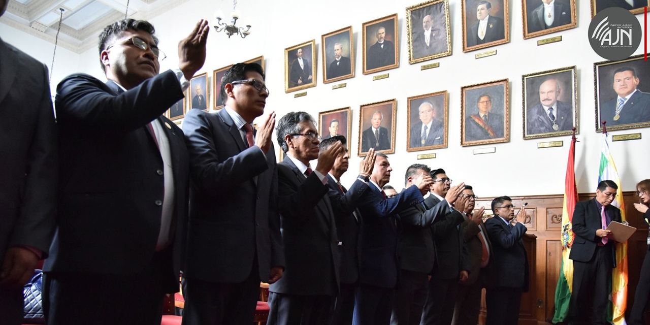 Vocales de Cochabamba y Oruro en su juramento. Foto: TSJ