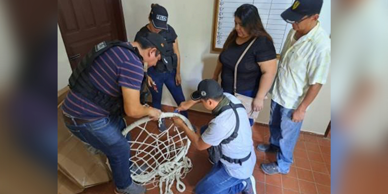 Efectivos de la FELCN requisan las hamacas ante la sospecha de la presencia de droga. Foto:  Gobierno