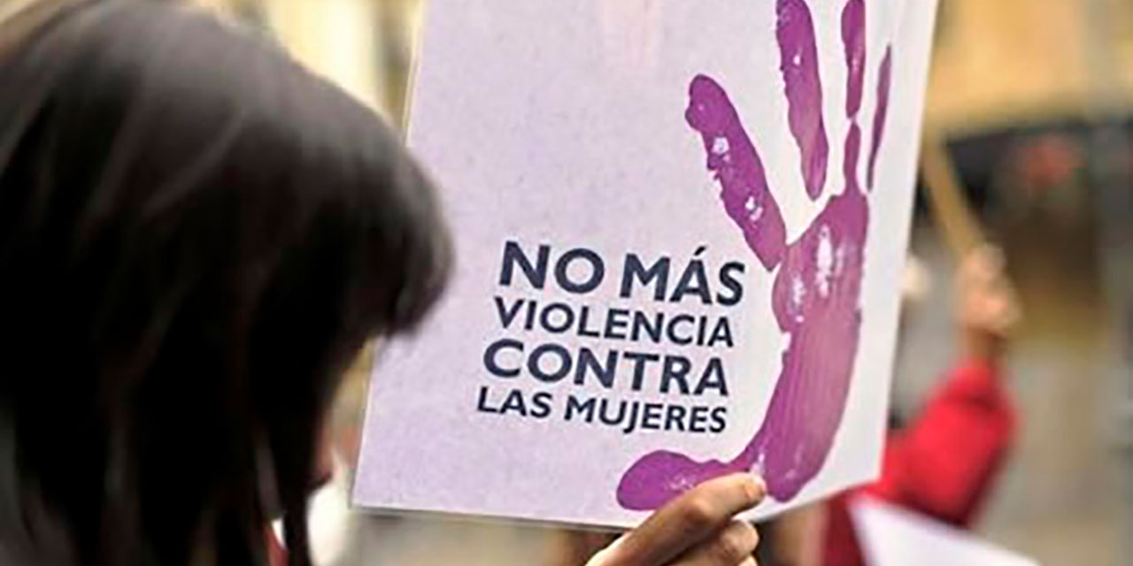 La Ley 348 Integral para Garantizar a las Mujeres una Vida Libre de Violencia fue promulgada en 2013.