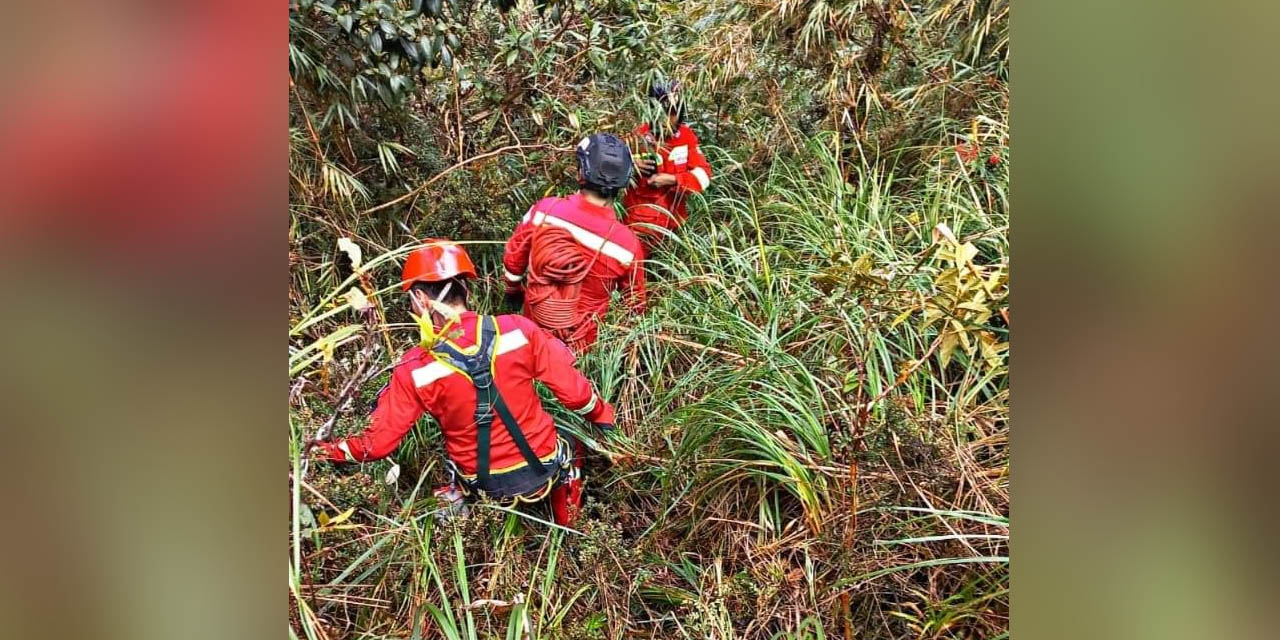  Bomberos Antofagasta hace el rastrillaje en bosque de montaña, en Nor Yungas de La Paz. | Foto: Archivo