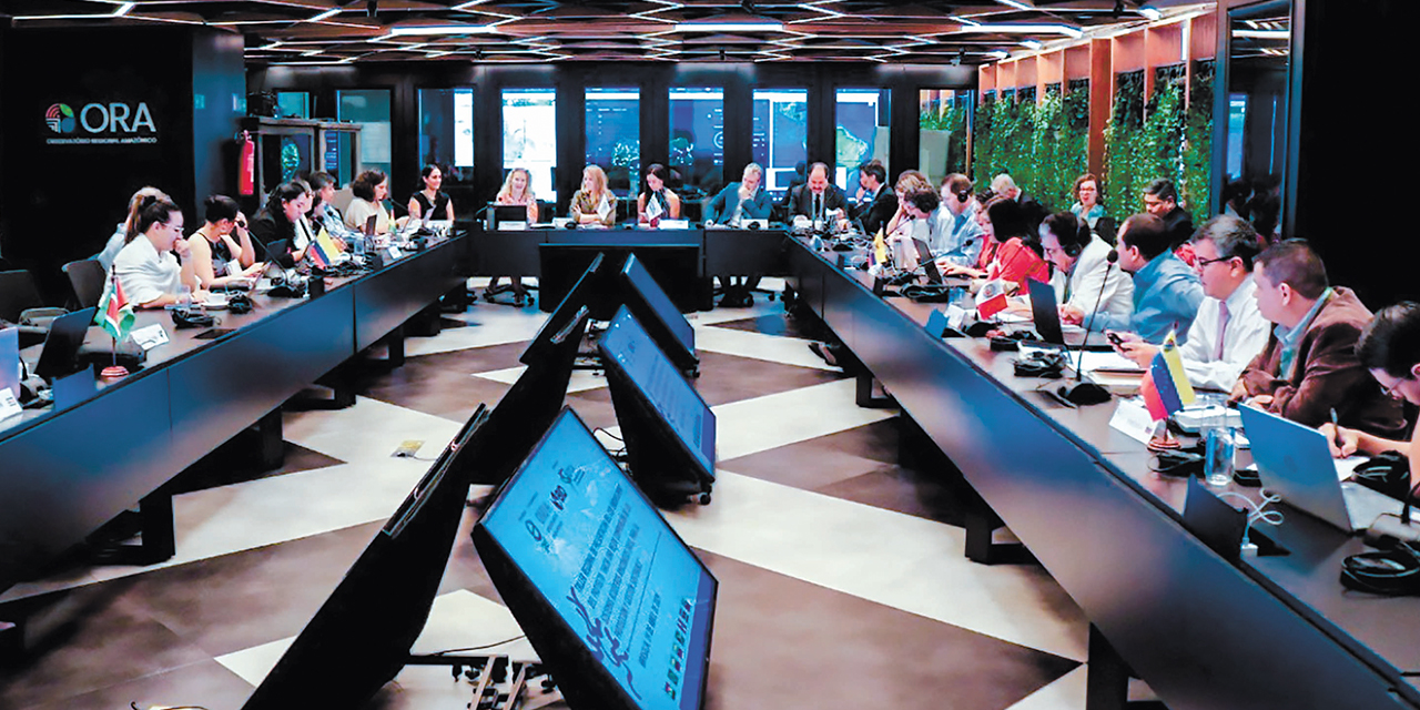 Reunión de la RADA en Brasilia. Foto: Cancillería