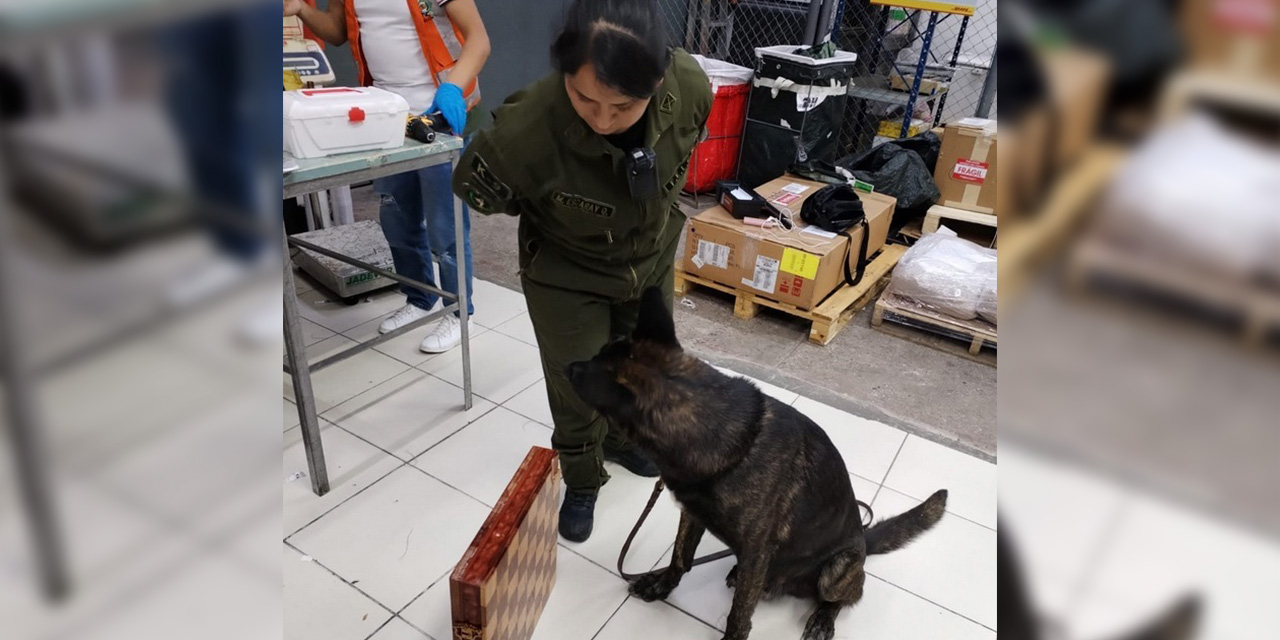 El can especializado en la lucha antinarcóticos ‘Petardo’ encontró la droga camuflada en un tablero de ajedrez. Foto: Ministerio de Gobierno