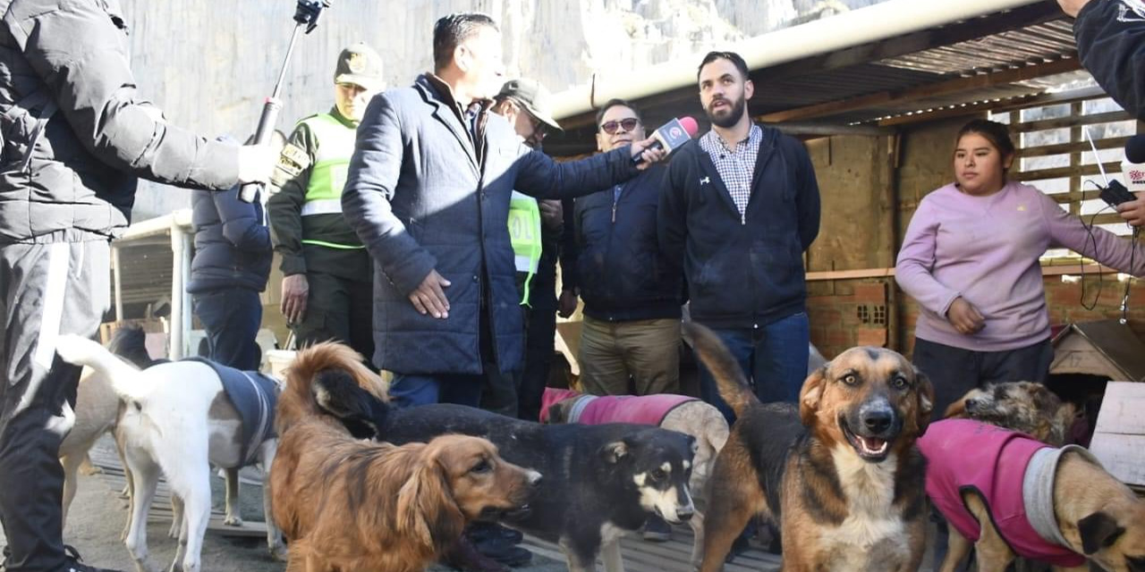 El ministro Del Castillo durante su visita al albergue de mascotas “Peluchín”. Foto: Facebook