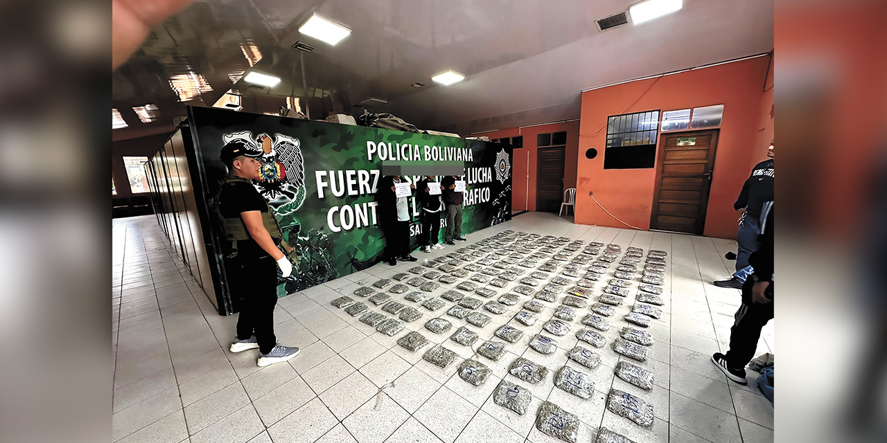 La FELCN presenta a las personas aprehendidas y la marihuana secuestrada. Foto: ABI