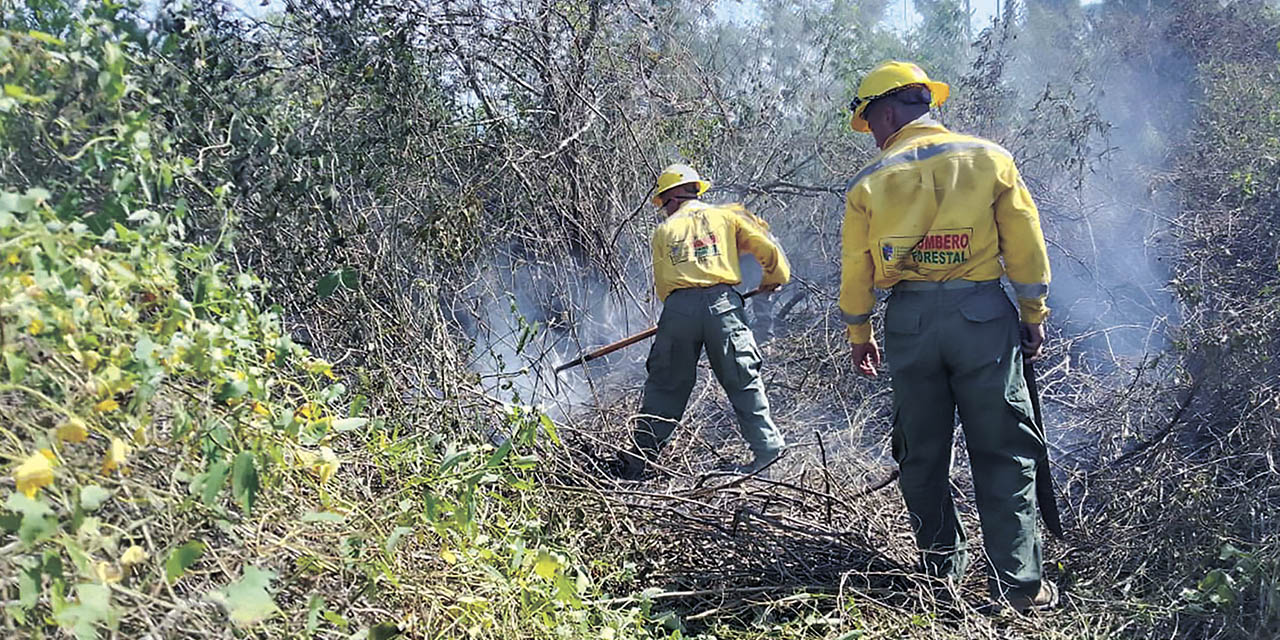  Los Bomberos Forestales sofocaron completamente el fuego que ingresó de la República de Brasil que afectó al municipio de Puerto Suárez.