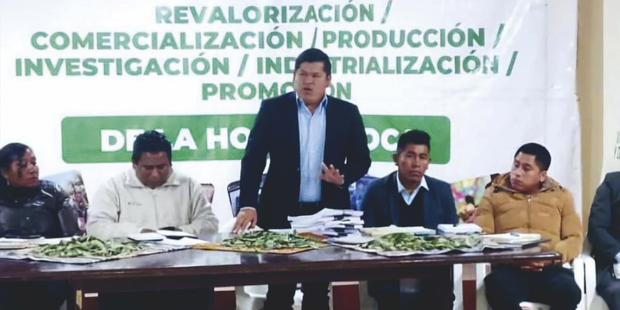 El viceministro Jaime Mamani en reunión con cocaleros de los Yungas.