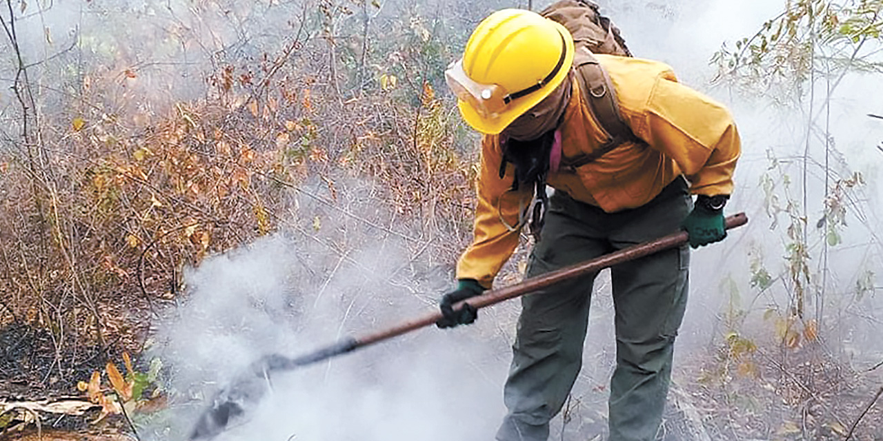 Un bombero forestal en trabajos de congelamiento del terreno. Foto: Ministerio de Defensa