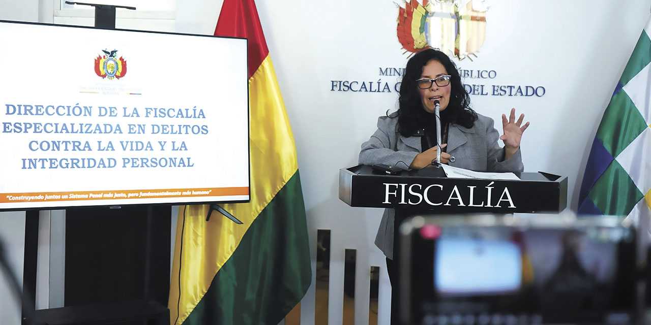 La directora de la fiscalía especializada en delitos contra la vida y la integridad personal, Elizabeth Viveros.