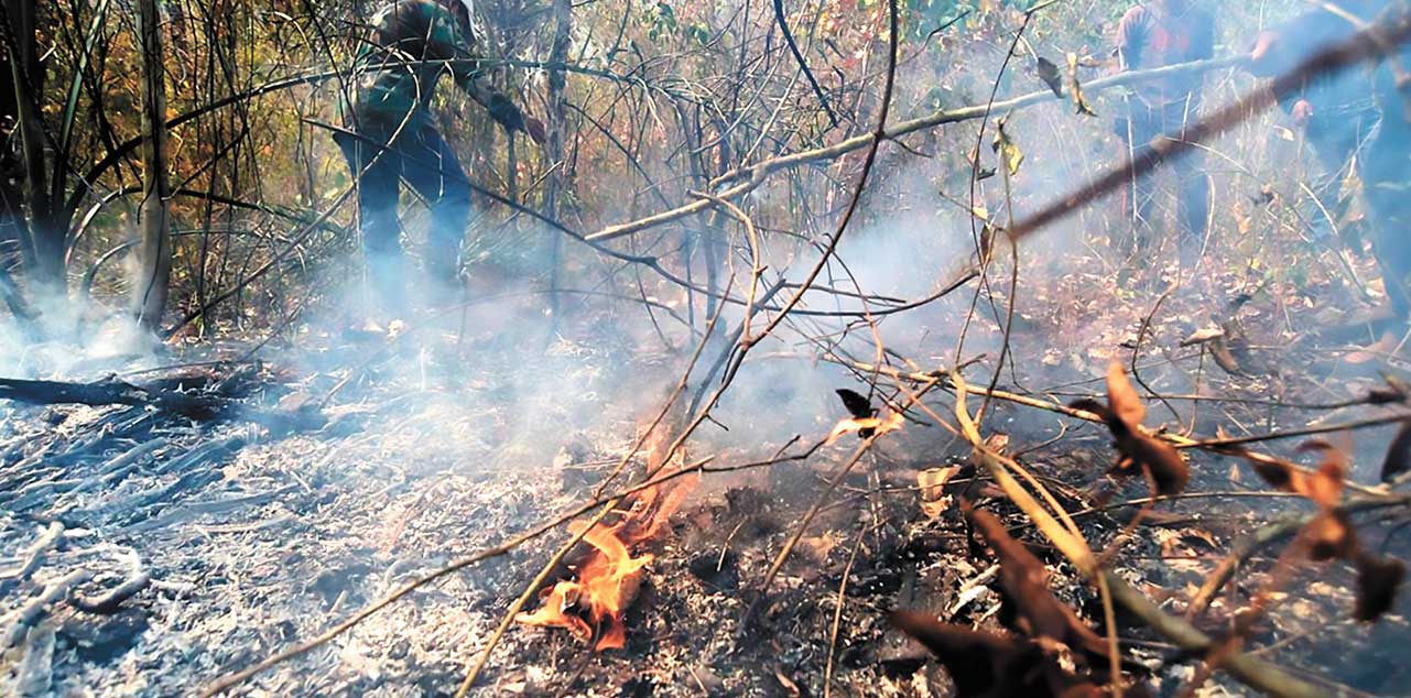 Bomberos forestales sofocan   un incendio. Foto: Archivo