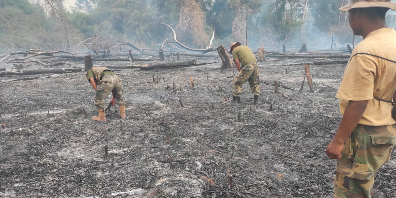 Más de 1.000 bomberos forestales y de las Fuerzas Armadas trabajan en las zonas afectadas. Foto: ARCHIVO