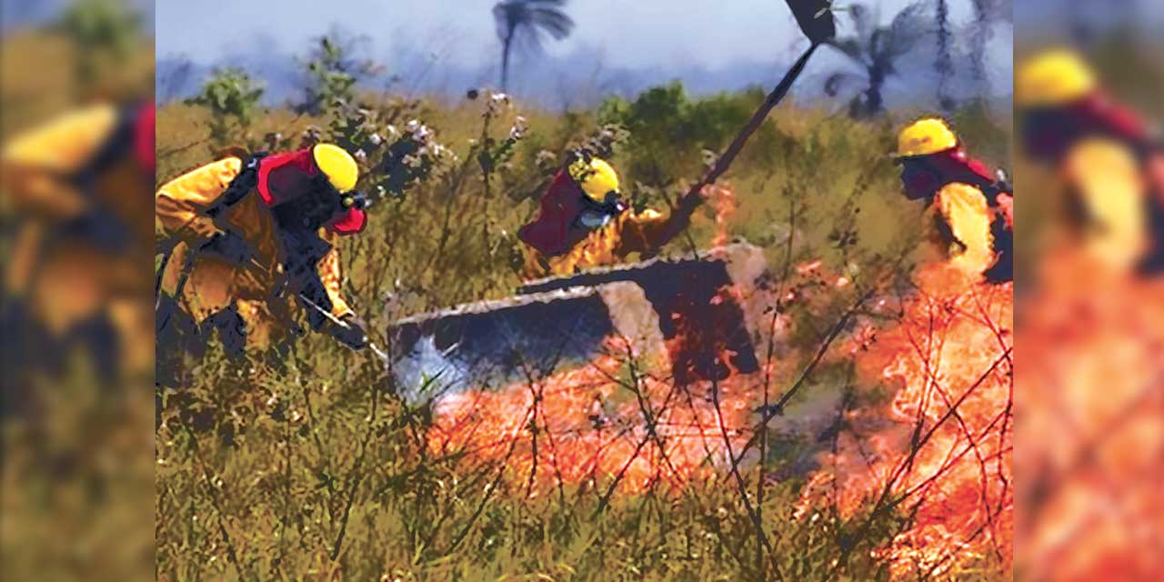 Trabajo de mitigación de llamas en el oriente boliviano. Foto: Ministerio de Defensa