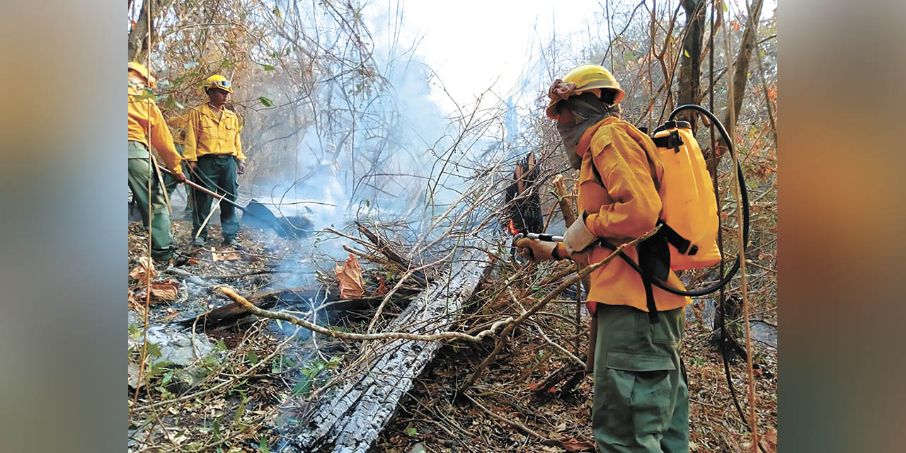 Bomberos forestales del Comando Conjunto  de las FFAA combaten los incendios forestales en el país. | Foto: Presidencia