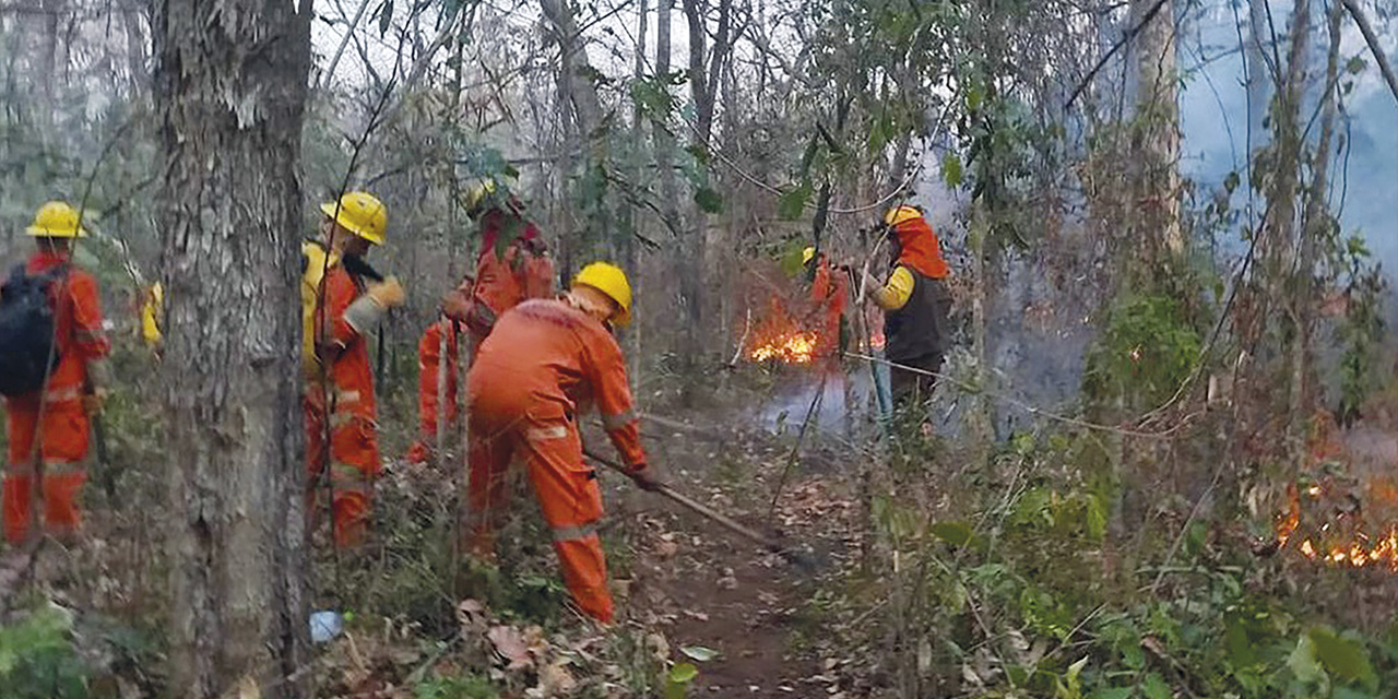 Bomberos forestales mitigan los incendios. | Foto: RRSS