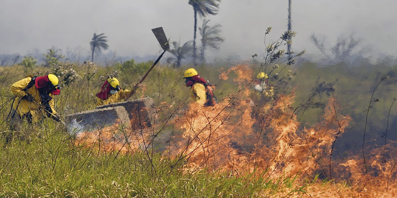 Una superficie quemada en los incendios es combatida por los bomberos forestales de las FFAA. | Foto: ABI Archivo