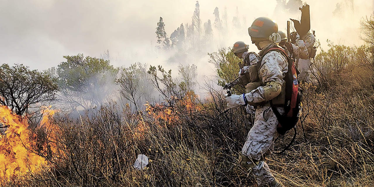 Bomberos forestales del Ejército en tareas de sofocación. | Foto: VDC