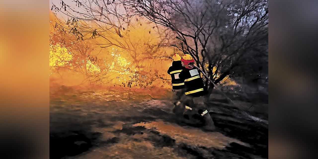 Bomberos forestales en la batalla por sofocar los incendios en el país. | Foto: Archivo