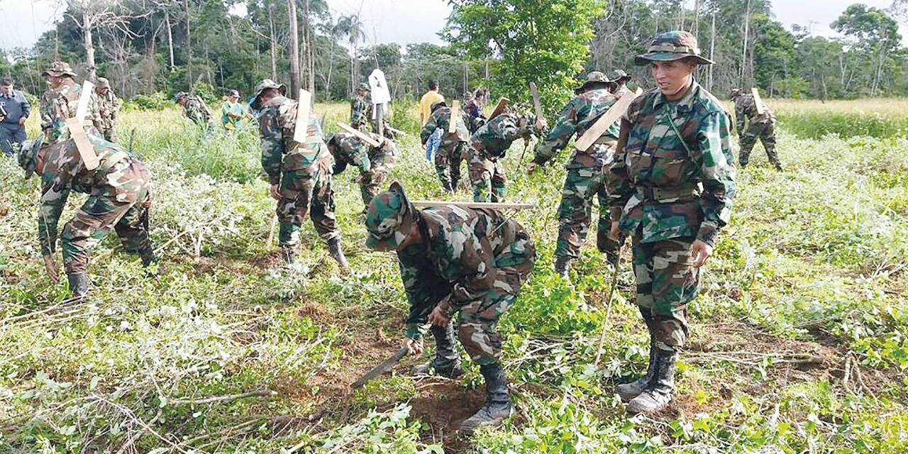 Efectivos de la Fuerza de Tarea Conjunta en labores de erradicación de la hoja de coca excedentaria. | Fotos: Archivo