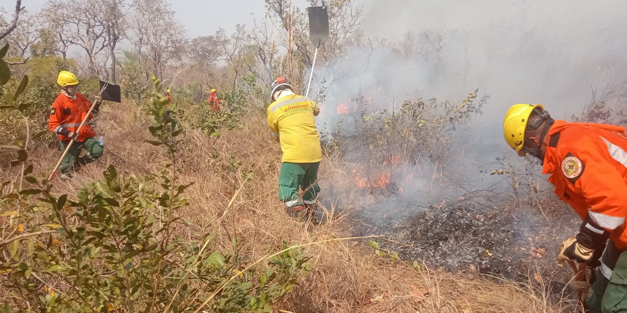 Bomberos forestales de las Fuerzas Armadas en operaciones terrestres. Foto Min. Defensa