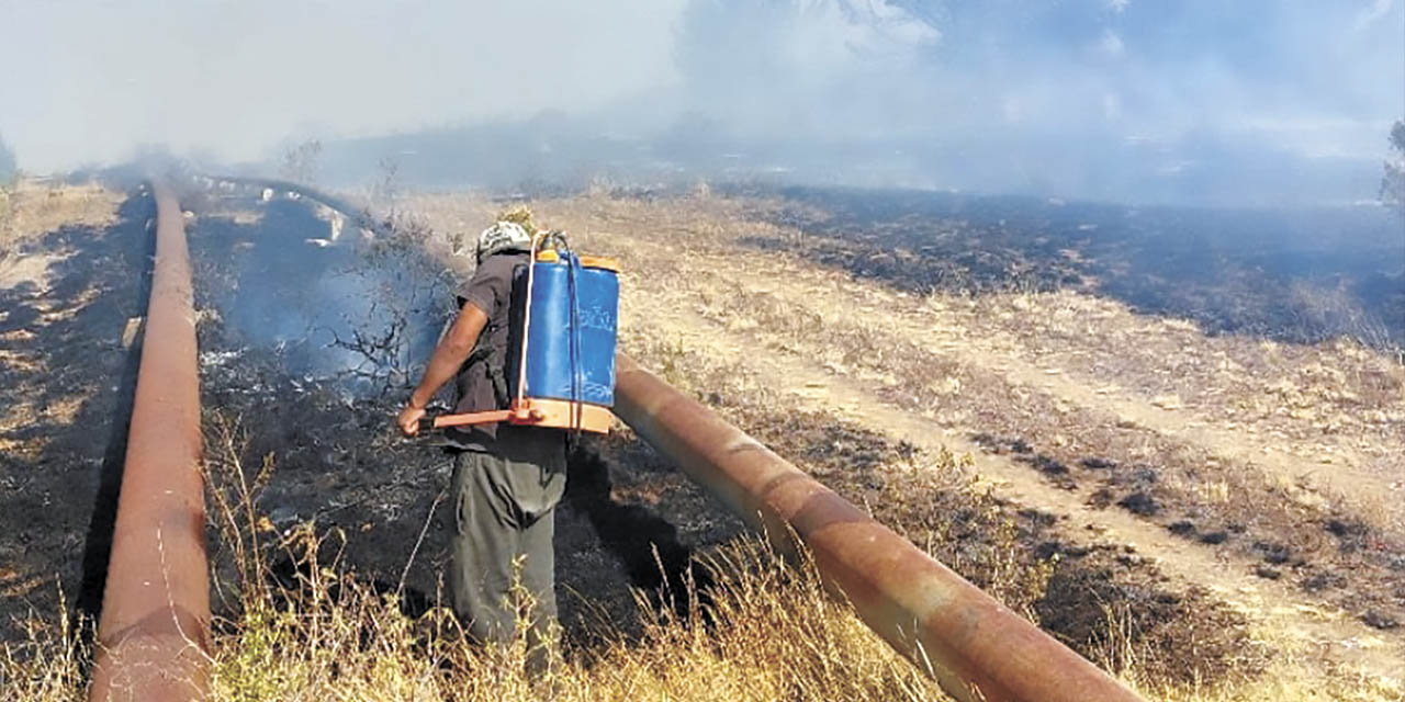 Una zona devastada por un incendio forestal en Santa Cruz. | Foto: ABT