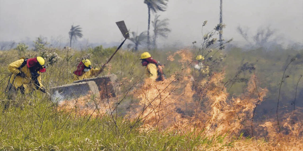 Bomberos forestales del Ejército combaten los incendios que afectan la Amazonia boliviana. | Foto: ABI