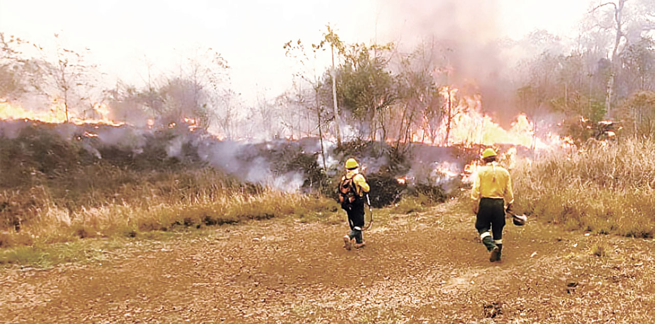 Fuego en Santa Cruz, la región más golpeada por los incendios forestales. Foto: Ministerio de Defensa