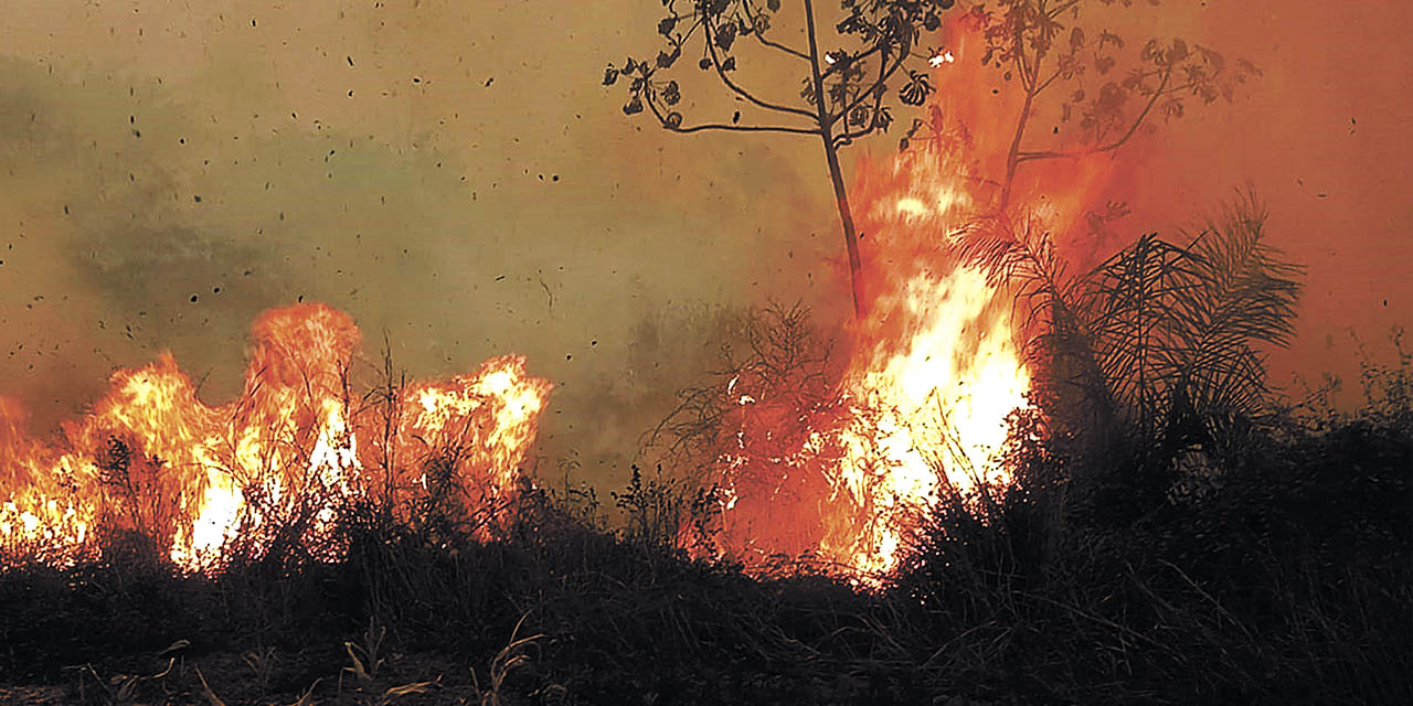 Incendios forestales en el departamento de Santa Cruz. | Foto: APG