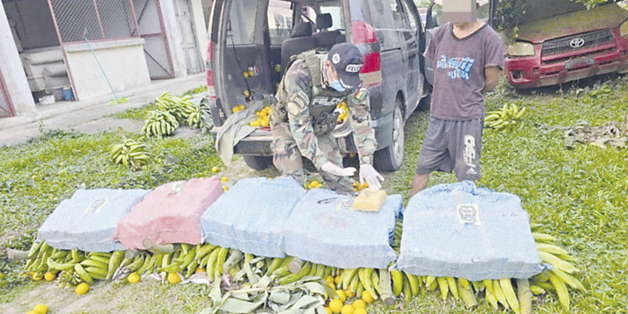 Marihuana camuflada en frutas en la localidad de Yucumo, Beni. | Foto: ABI